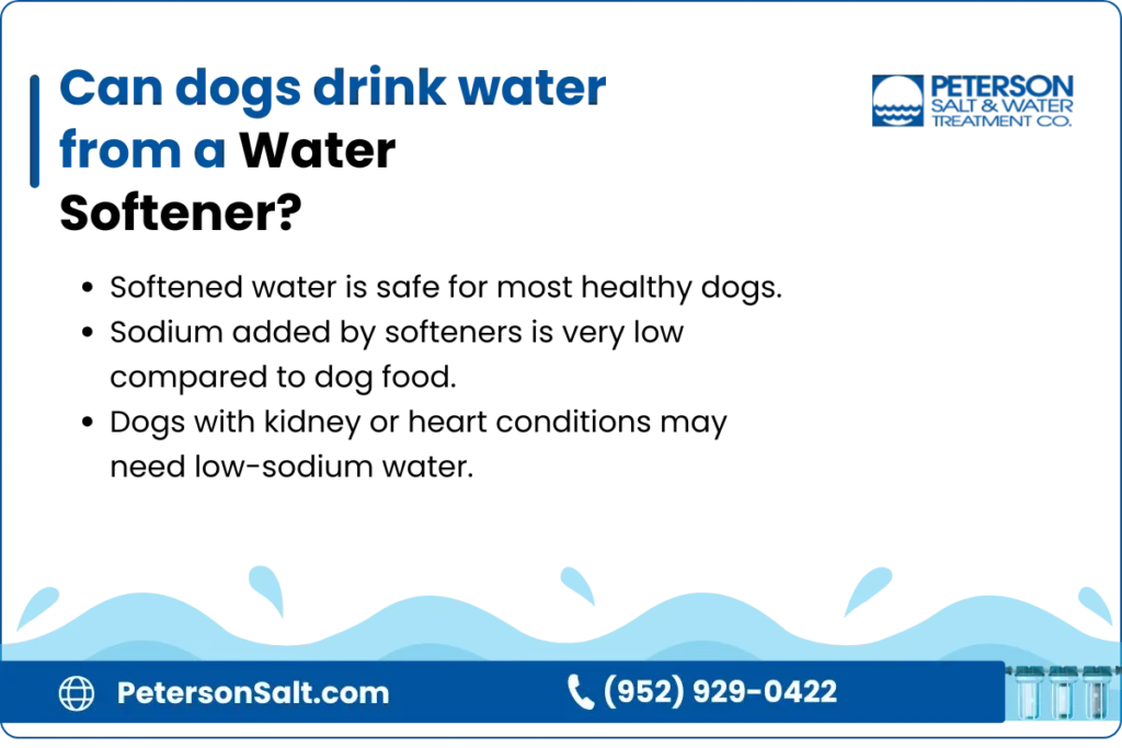 Can dogs drink water from a Water Softener Comprehensive guide and insights