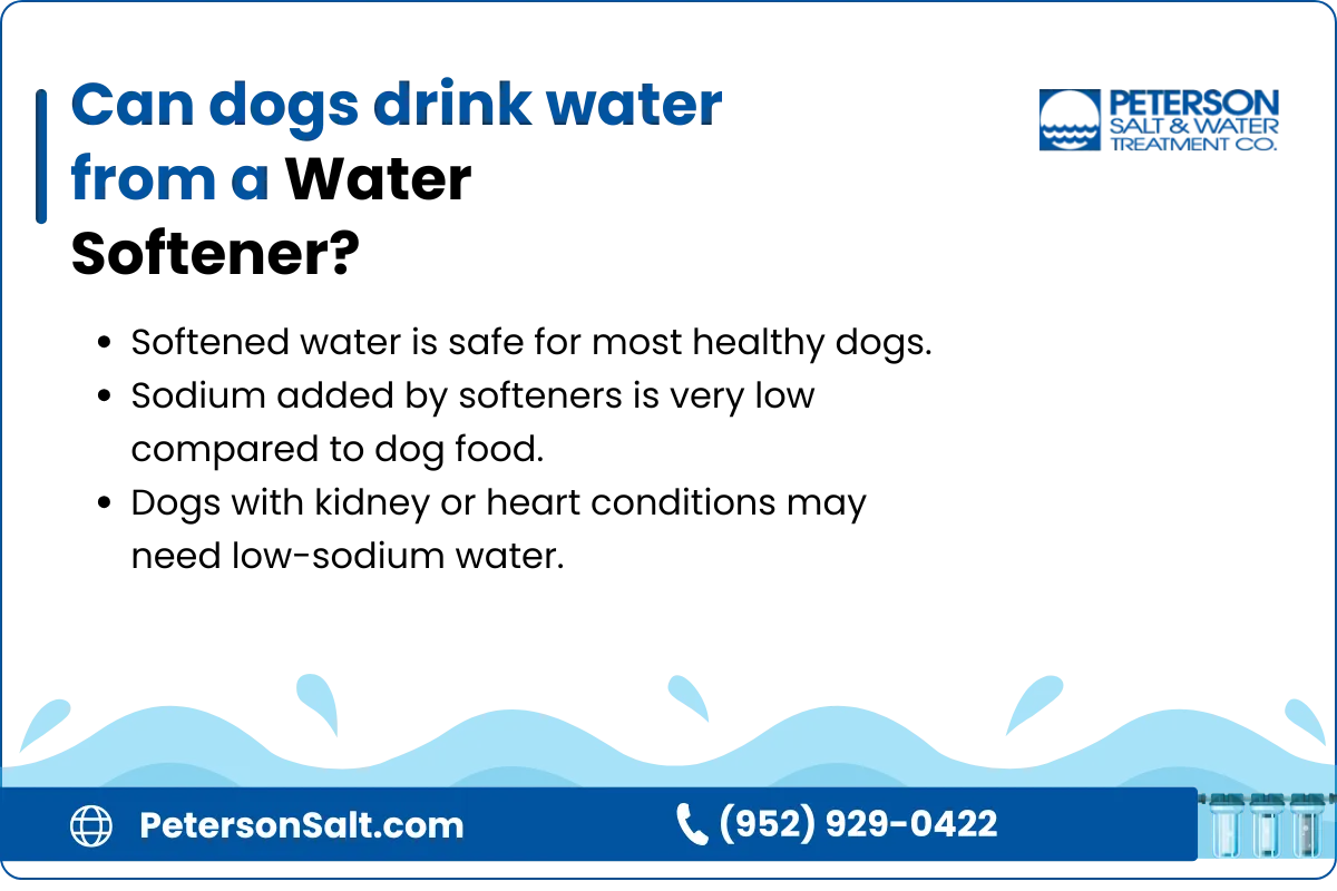 Can dogs drink water from a Water Softener Comprehensive guide and insights